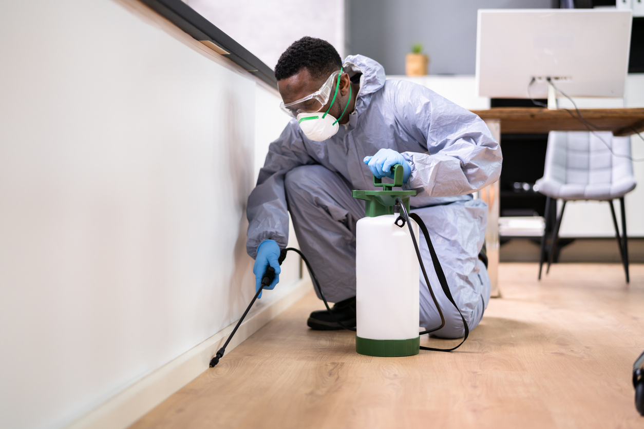 How Restaurants Can Prevent Cockroaches and Rodents in Kenya