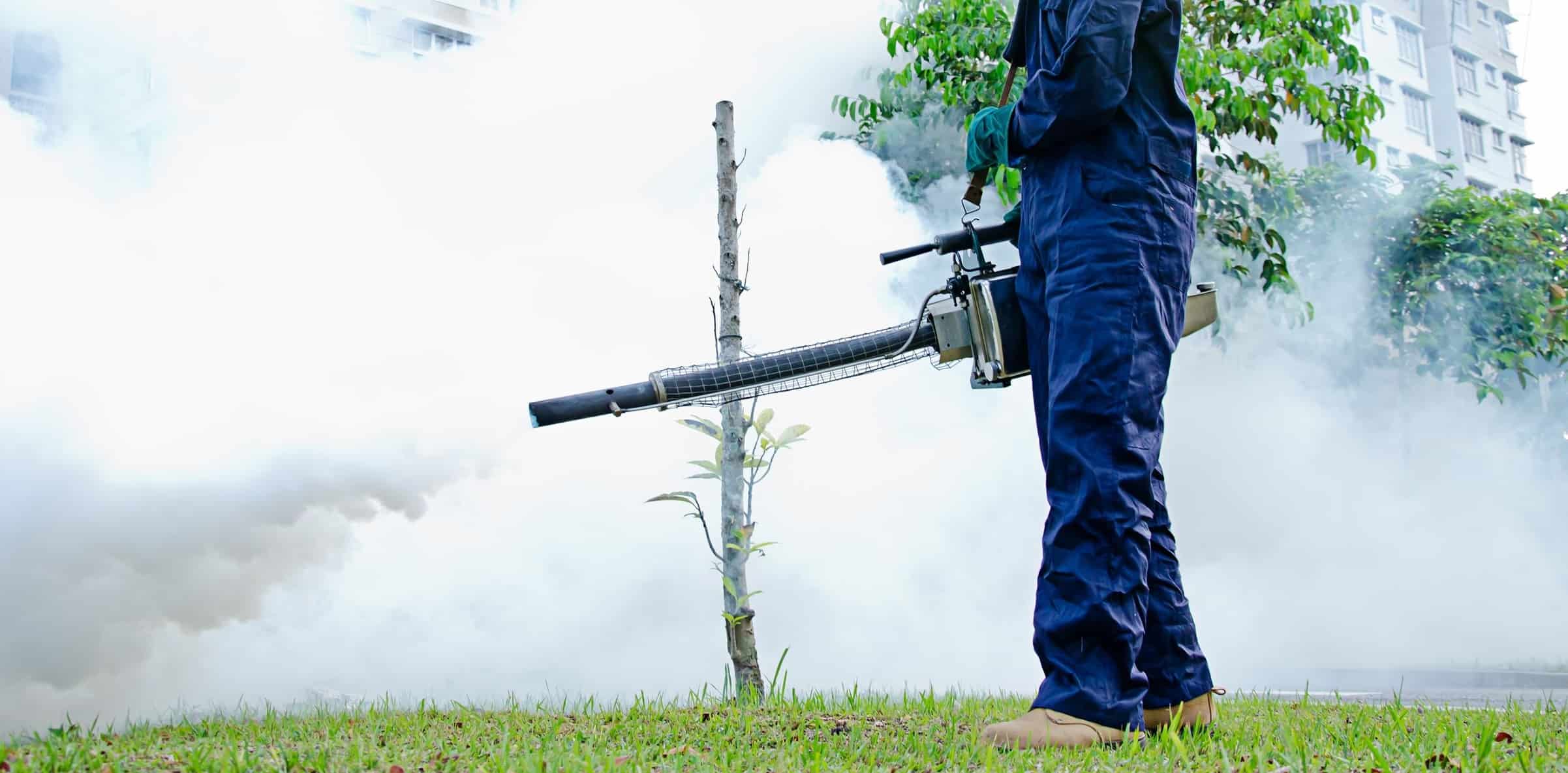 How Much Capital Do You Need to Start a Fumigation Business in Kenya?