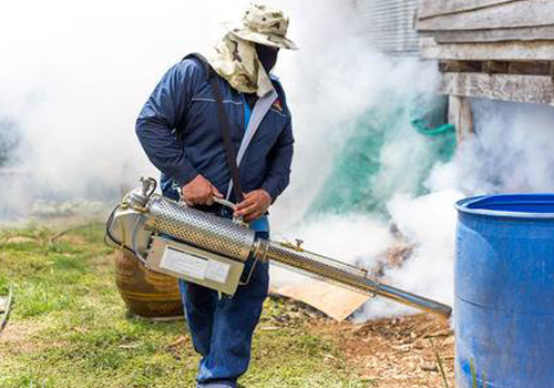 How Much to Charge for Cockroach Fumigation in Kenya
