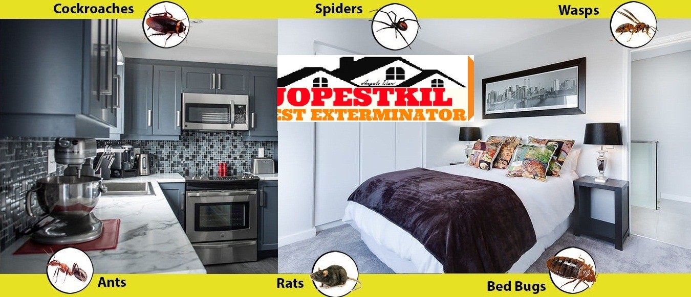 Jopestkil Kenya Fumigation and Pest Control Services