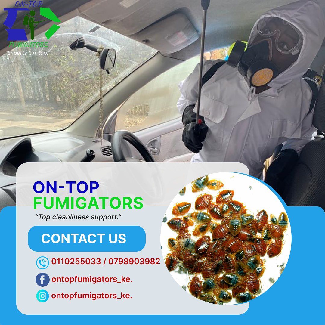 Ontop Fumigators and Cleaners