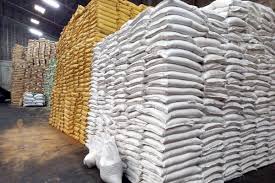 Stored Product Pest Fumigation Services For Grains, Seeds And Tobacco In Kenya
