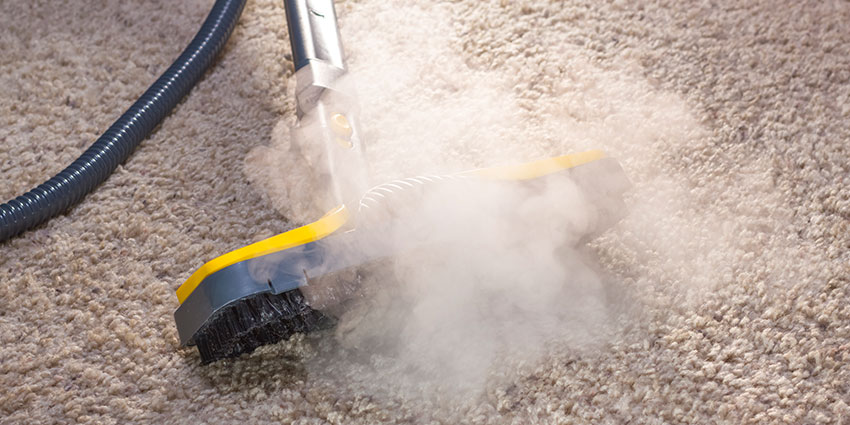 Carpet and Upholstery Steam Cleaning Services