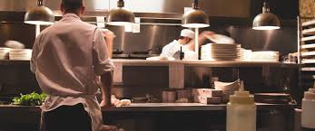 Hotel And Restaurant Pest Control Audits