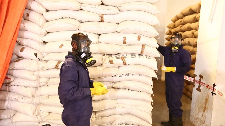 Warehouse And Silo Phosphine Fumigation Services Kenya