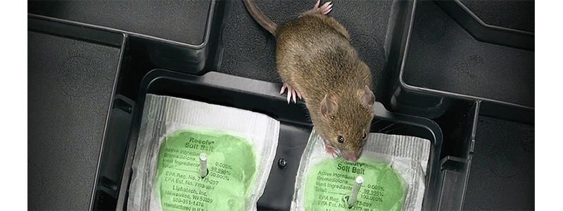Rodent Proofing And Baiting Programs