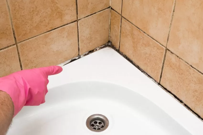 Bathroom Descale and Mold Removal