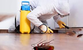 Targeted Cockroach Extermination And Control Services