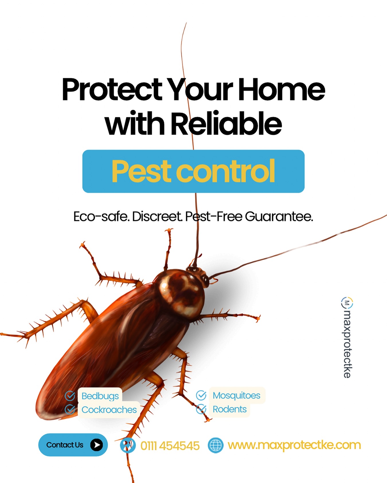 Cockroach Treatment in Runda: Odorless, Child-Safe Fumigation for Hidden Infestations