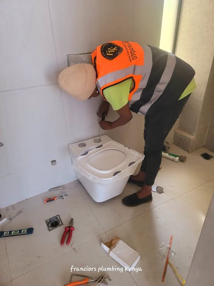 Franciors Plumbing Kenya