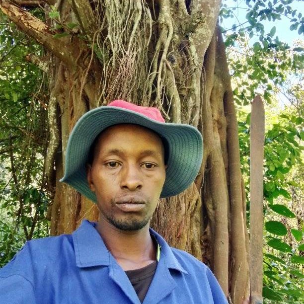 Paul Ndegwa