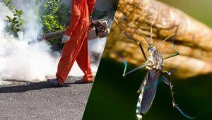 Anti Mosquito Fogging And Larviciding Services In Kenya
