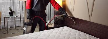 Comprehensive Bed Bug Eradication Services