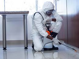 Professional Pest Control Service - Image 3