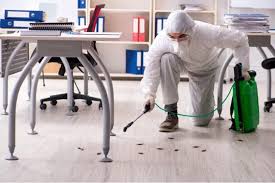 Professional Pest Control Service - Image 2