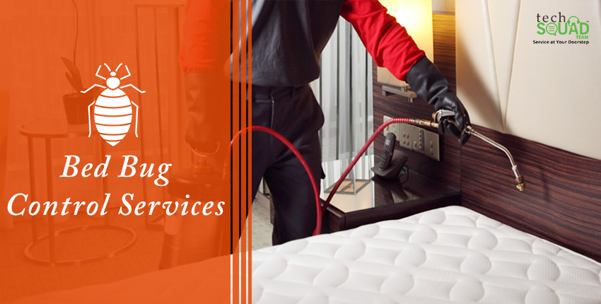 Professional Bedbug Treatment Service | Verified Fumigation Experts - Image 4