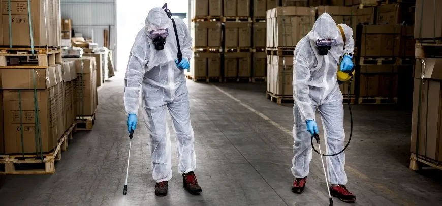 Professional Pest Control Service - Image 5